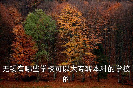 無(wú)錫有哪些學(xué)?？梢源髮＾D(zhuǎn)本科的學(xué)校的