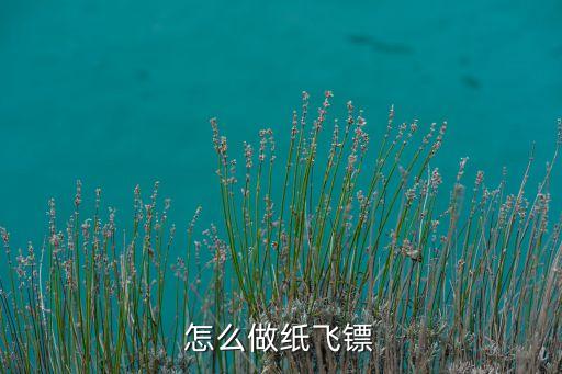 最簡(jiǎn)單的飛鏢，自制飛鏢的辦法