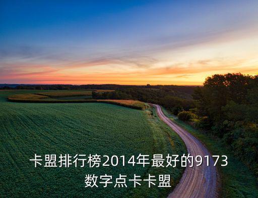 卡盟排行榜2014年最好的9173數(shù)字點(diǎn)卡卡盟