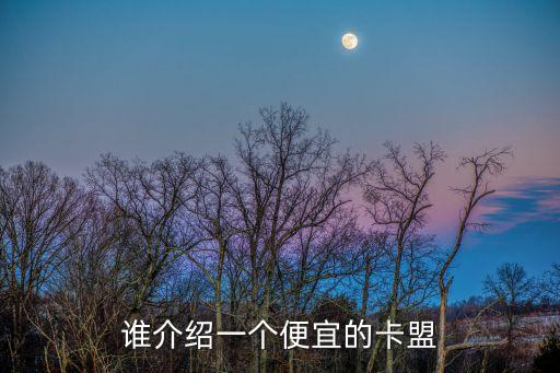 誰介紹一個便宜的卡盟