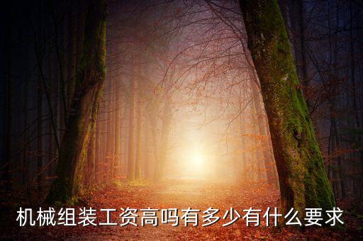 組裝自動化設備工資高嗎，機械組裝工資高嗎有多少有什么要求