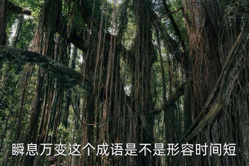 瞬息萬變這個(gè)成語是不是形容時(shí)間短