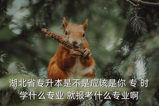 湖北省專升本是不是應(yīng)該是你 專 時學(xué)什么專業(yè) 就報(bào)考什么專業(yè)啊