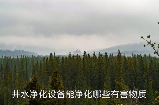 井水凈化設(shè)備能凈化哪些有害物質(zhì)