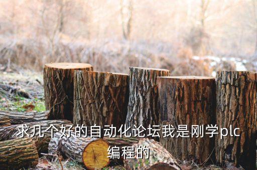 求幾個(gè)好的自動(dòng)化論壇我是剛學(xué)plc編程的