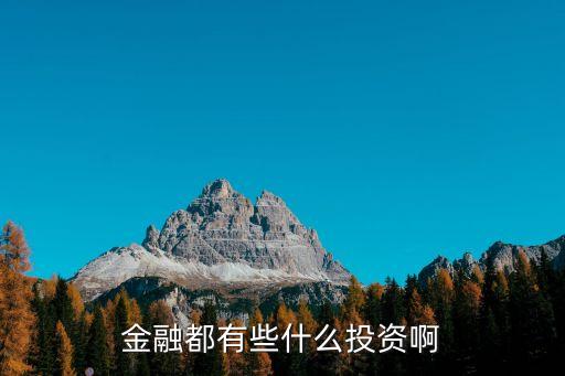 金融都有些什么投資啊