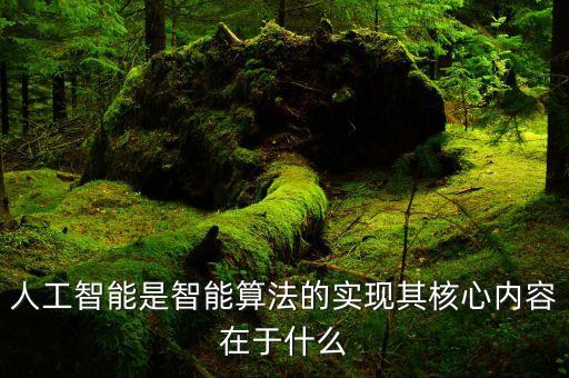 人工智能是智能算法的實(shí)現(xiàn)其核心內(nèi)容在于什么