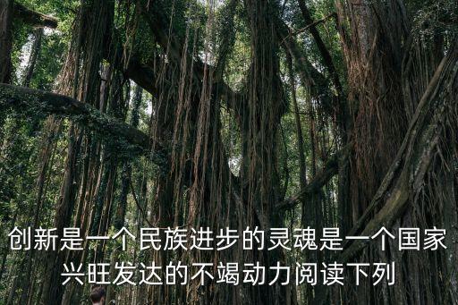 創(chuàng)新是一個(gè)民族進(jìn)步的靈魂是一個(gè)國(guó)家興旺發(fā)達(dá)的不竭動(dòng)力閱讀下列