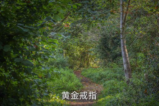黃金戒指，黃金戒指
