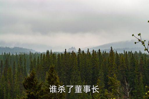 誰殺了董事長(zhǎng)