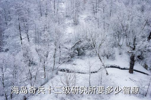 海島奇兵十二級(jí)研究所要多少智源