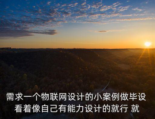 需求一個(gè)物聯(lián)網(wǎng)設(shè)計(jì)的小案例做畢設(shè) 看著像自己有能力設(shè)計(jì)的就行 就