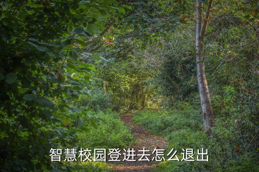 智慧校園登進(jìn)去怎么退出