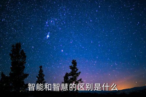 智能和智慧的區(qū)別是什么