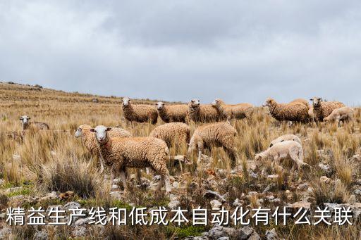 精益生產(chǎn)線和低成本自動(dòng)化有什么關(guān)聯(lián)