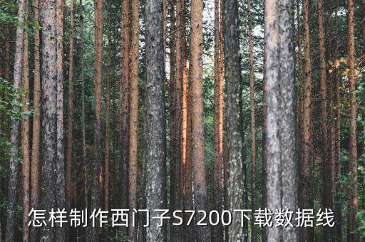 怎樣制作西門子S7200下載數(shù)據(jù)線