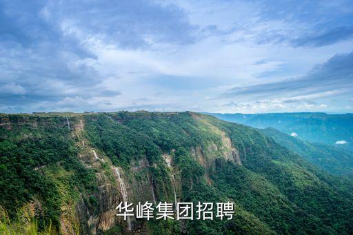華峰集團(tuán)招聘