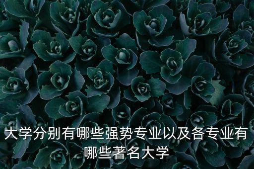 大學分別有哪些強勢專業(yè)以及各專業(yè)有哪些著名大學