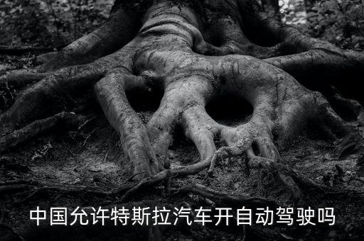 特斯拉中國能自動駕駛嗎知乎，特斯拉自動駕駛在中國可以開嗎