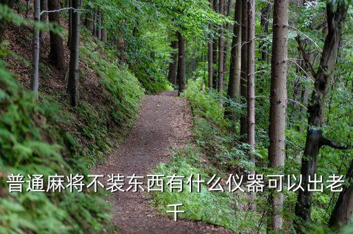 普通麻將不裝東西有什么儀器可以出老千