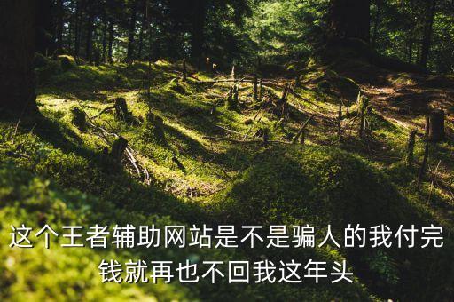 這個王者輔助網(wǎng)站是不是騙人的我付完錢就再也不回我這年頭
