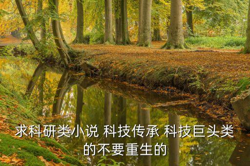 研發(fā)高科技的小說，求一本科技流小說