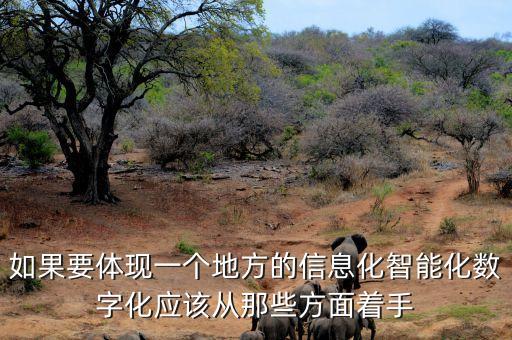 如果要體現(xiàn)一個地方的信息化智能化數(shù)字化應該從那些方面著手