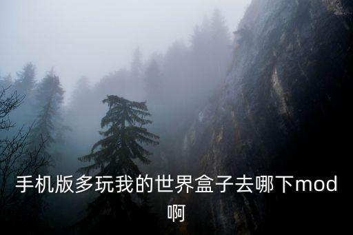 手機(jī)版多玩我的世界盒子去哪下mod啊