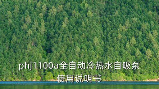 phj1100a全自動冷熱水自吸泵使用說明書