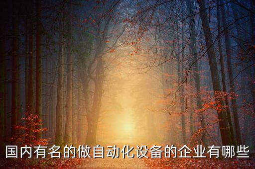 國內(nèi)有名的做自動(dòng)化設(shè)備的企業(yè)有哪些