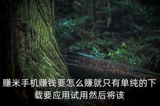 賺米手機(jī)賺錢要怎么賺就只有單純的下載要應(yīng)用試用然后將該