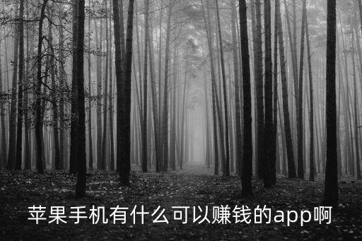 蘋果手機有什么可以賺錢的app啊