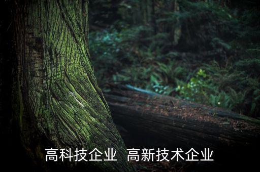 高科技企業(yè)  高新技術企業(yè)