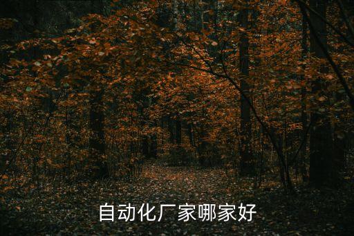 自動化廠家哪家好