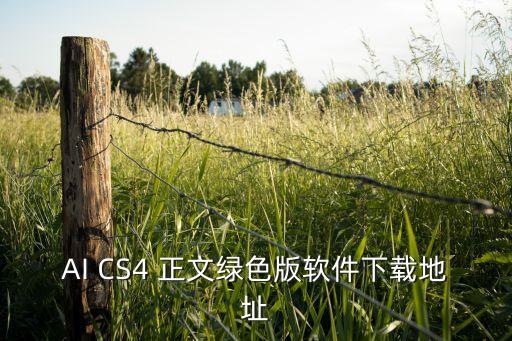 ai智能文章改寫(xiě)軟件免費(fèi)，AI CS4 正文綠色版軟件下載地址