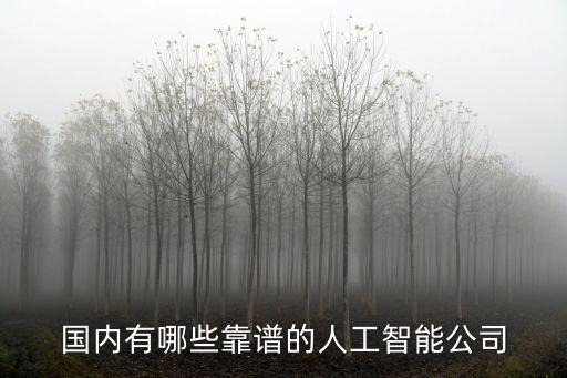 國(guó)內(nèi)有哪些靠譜的人工智能公司