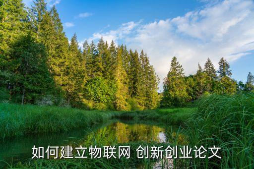如何建立物聯(lián)網(wǎng) 創(chuàng)新創(chuàng)業(yè)論文