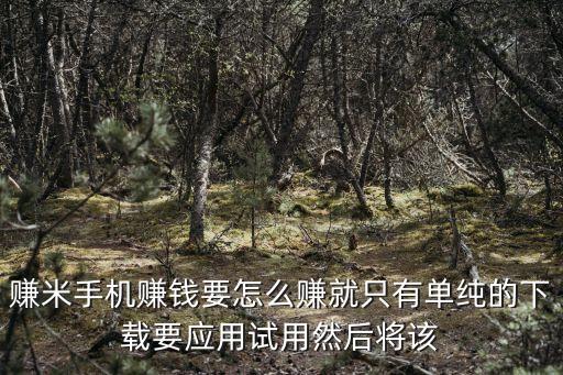 賺米手機(jī)賺錢要怎么賺就只有單純的下載要應(yīng)用試用然后將該