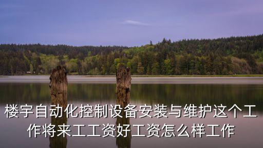 樓宇自動化控制設備安裝與維護這個工作將來工工資好工資怎么樣工作