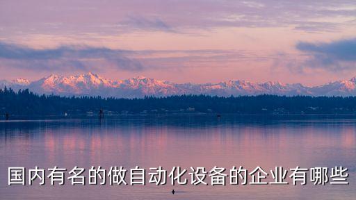 國內(nèi)有名的做自動(dòng)化設(shè)備的企業(yè)有哪些