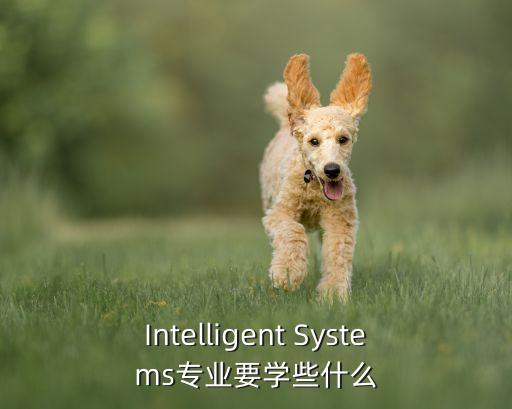 Intelligent Systems專業(yè)要學些什么