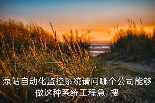 泵站自動(dòng)化監(jiān)控系統(tǒng)請(qǐng)問哪個(gè)公司能夠做這種系統(tǒng)工程急  搜