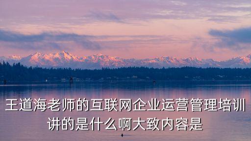 王道海老師的互聯(lián)網(wǎng)企業(yè)運(yùn)營(yíng)管理培訓(xùn)講的是什么啊大致內(nèi)容是