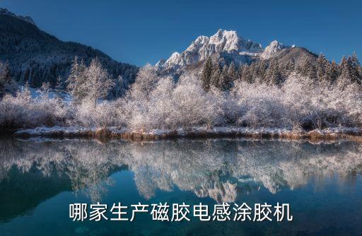哪家生產(chǎn)磁膠電感涂膠機