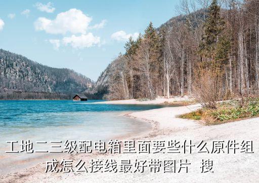 工地二三級(jí)配電箱里面要些什么原件組成怎么接線最好帶圖片  搜