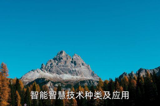 智能智慧技術(shù)種類及應(yīng)用