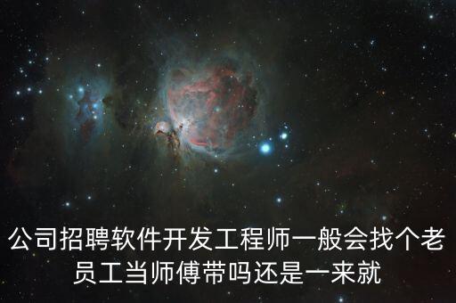 自動(dòng)駕駛軟件研發(fā)工程師招聘，公司招聘軟件開發(fā)工程師一般會(huì)找個(gè)老員工當(dāng)師傅帶嗎還是一來就