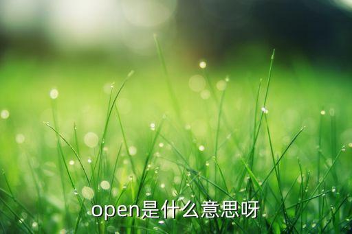open的是什么意思，open是什么意思