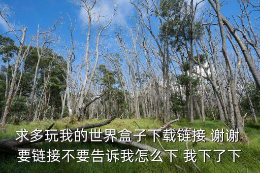 求多玩我的世界盒子下載鏈接 謝謝 要鏈接不要告訴我怎么下 我下了下