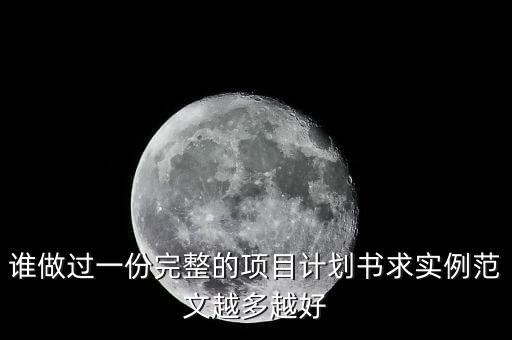 誰做過一份完整的項目計劃書求實例范文越多越好